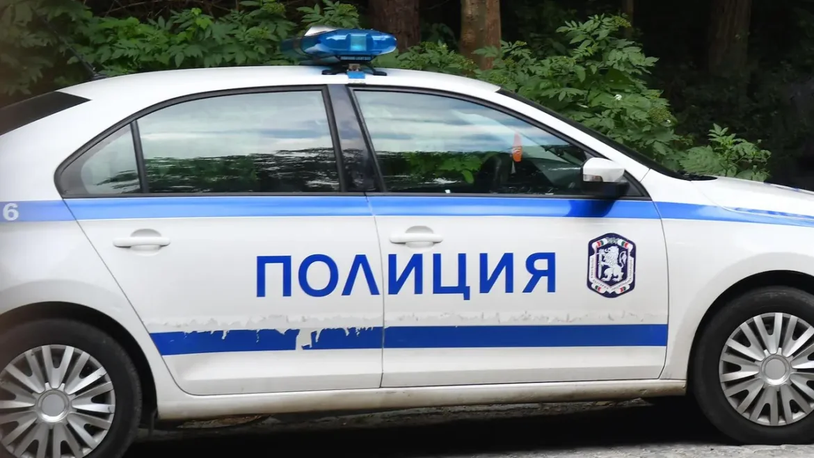 Акция край Влахи: Намериха 190 г канабис и оръжие в дървена вила